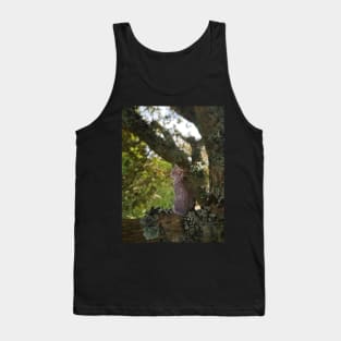 Cat Fairies: Resting Tank Top